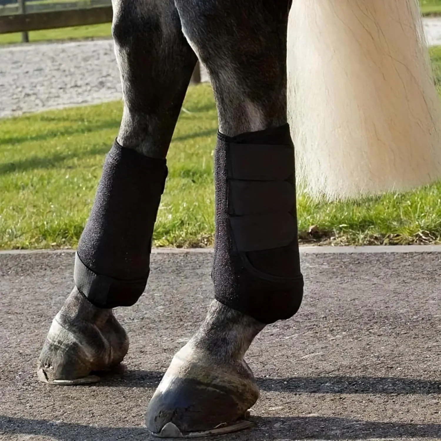 Horse Boots Protective Neoprene Shock Absorbing Reduce Impact Adjustable Straps Horse Leg Guards for Endurance Training