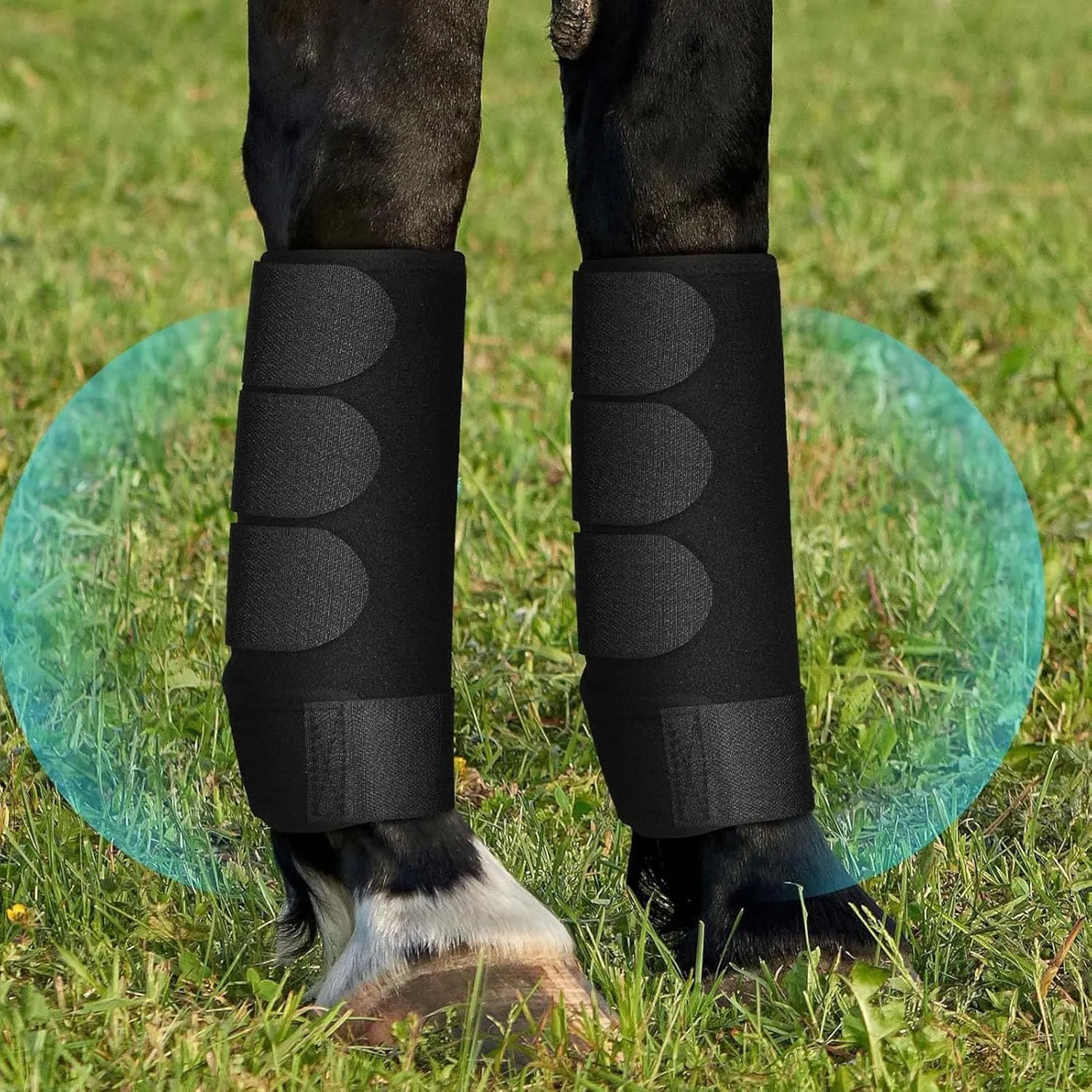 Horse Boots Protective Neoprene Shock Absorbing Reduce Impact Adjustable Straps Horse Leg Guards for Endurance Training
