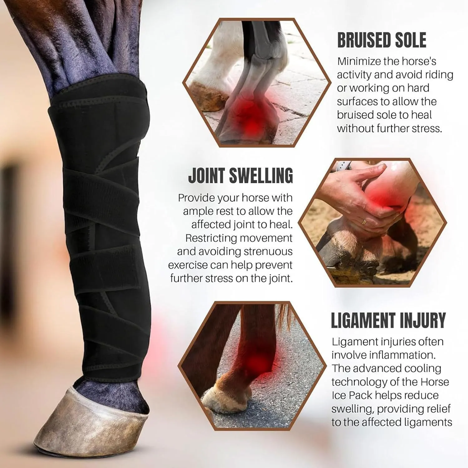Horse Boots Protective Neoprene Shock Absorbing Reduce Impact Adjustable Straps Horse Leg Guards for Endurance Training