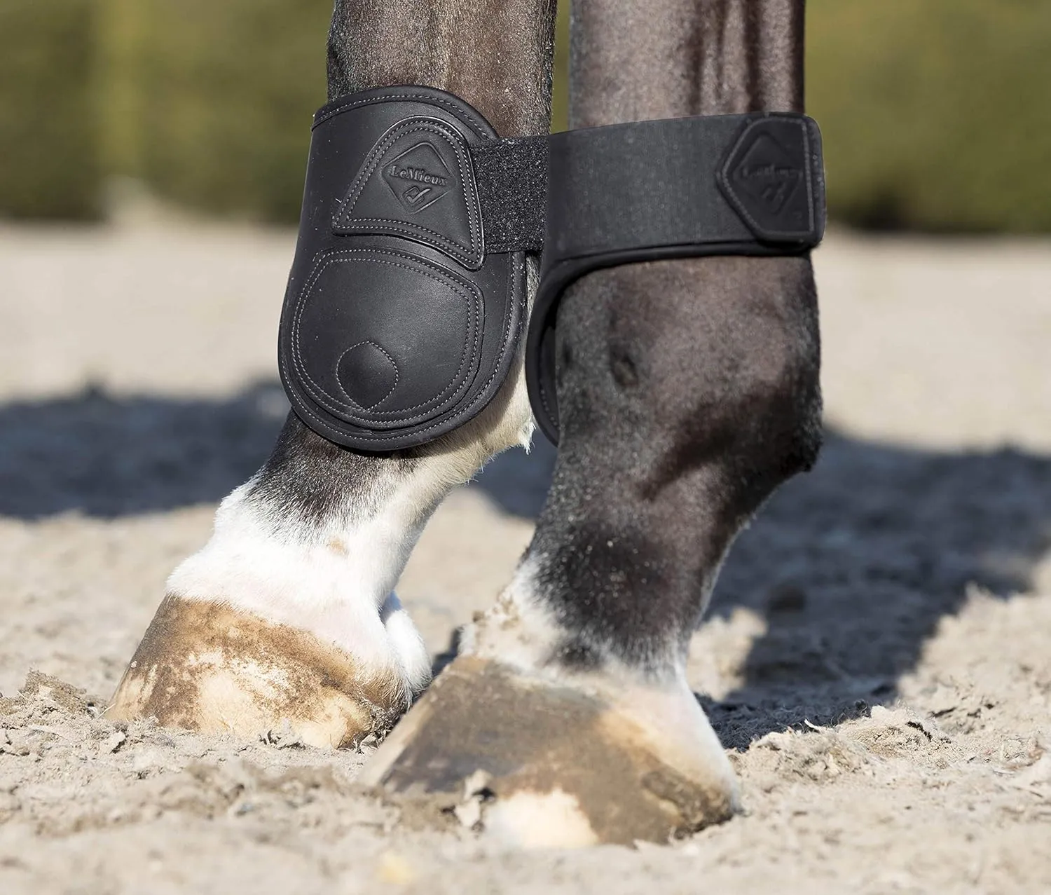 LeMieux Capella Fetlock Horse Boots - Protective Gear and Training Equipment - Equine Boots, Wraps & Accessories