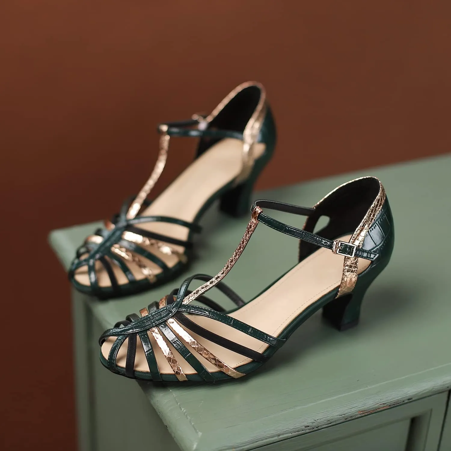 MOOMMO Women Low Heel Sandals Ankle Strap Rainbow Kitten Heel Cage Sandal Shoes T Strap Mary Jane Pumps Chunky Block Heel Cutout Sandals Bridal Wedding Summer Vintage Dressy Elegant Comfort 4-11 M US